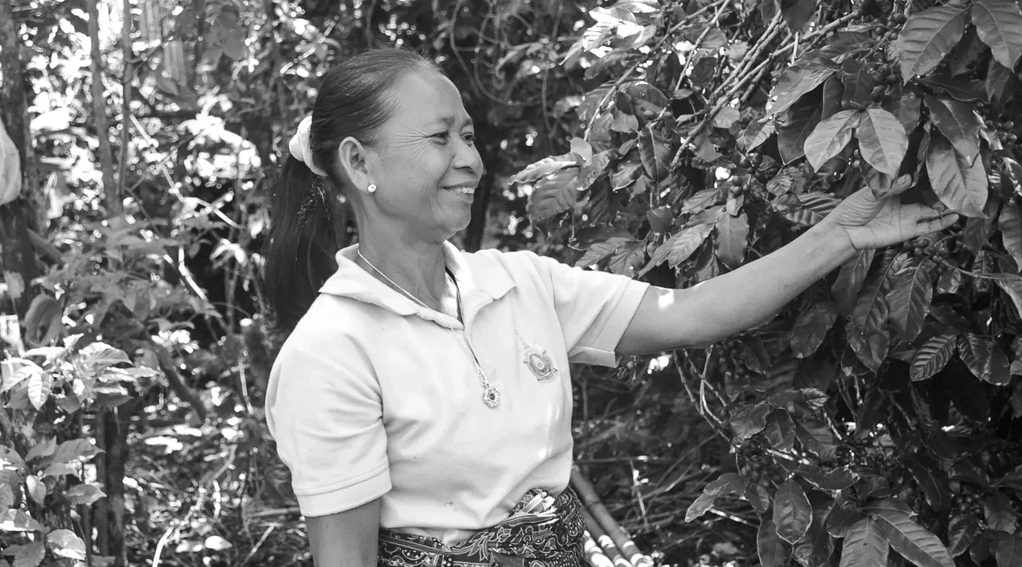 ZENZ byder på aromatisk kaffe fra egen farmer i Laos, Asien