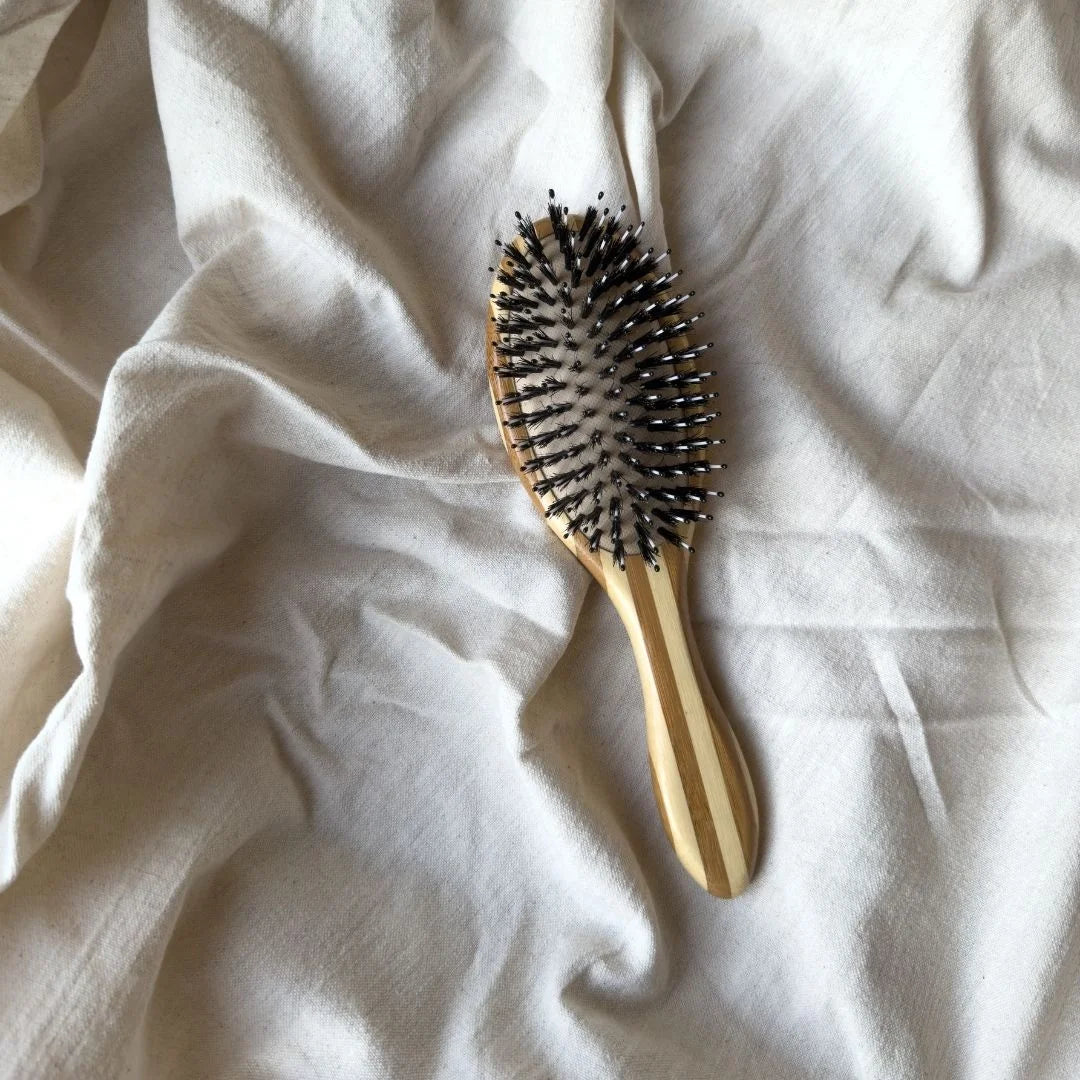 Boar Brush Oval