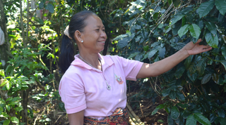 ZENZ byder på aromatisk kaffe fra egen farmer i Laos, Asien